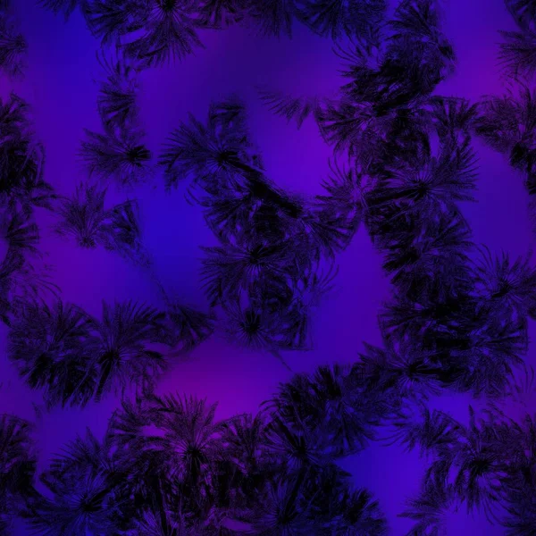 Miami night tropical black foliage on sunset blur