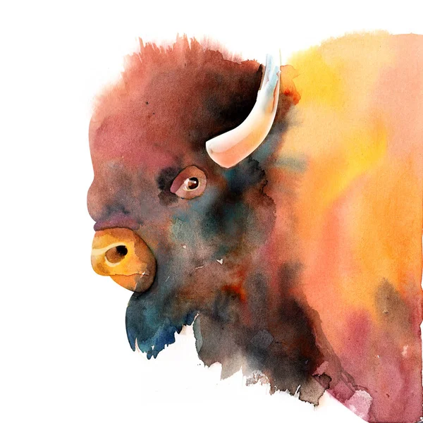Fjällbison, bilden av en tjur. Akvarell illustration isolerad på en vit bakgrund — Stockfoto
