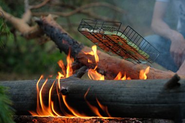 Sebzeler ormanda kızartılıyor. Izgarada nefis kabak ve mantar var. Vahşi doğada bir kamp ateşinde vejetaryen yemeği. Lezzetli kabak ve mantarlar ızgarada.