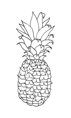 Beyaz arkaplanda izole edilmiş ananas çizgisi, el çizimi vektör illüstrasyonu.
