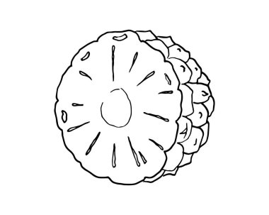 Beyaz arka planda izole edilmiş yarım bir ananasın konturu, el çizimi vektör çizimi.