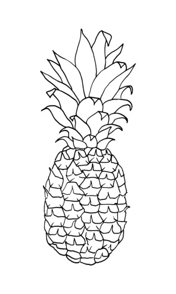 Ananas-Umriss isoliert auf weißem Hintergrund, handgezeichnete Vektorillustration. — Stockvektor