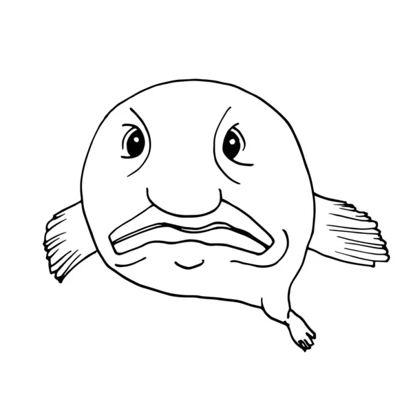 Blobfish, lustige Tiefseefische. Vektor-Illustration im Doodle-Stil. — Stockvektor