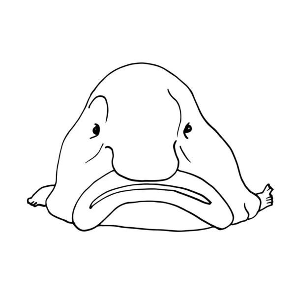 Blobfish, lustige Tiefseefische. Vektor-Illustration im Doodle-Stil. — Stockvektor