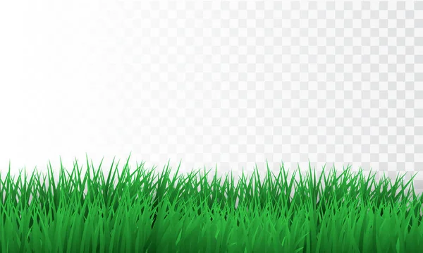 Bordo Verde Erba Sfondo Trasparente Illustrazione Vettoriale — Vettoriale Stock