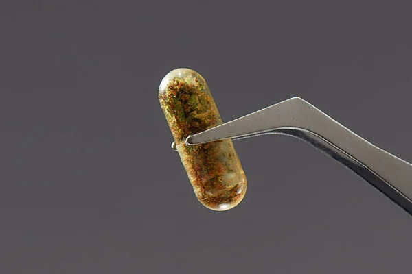 Primo piano di pinzette che tengono pillola a base di erbe, capsula, farmaco isolato su sfondo grigio. Medicina alternativa, concetto di trattamento — Foto Stock