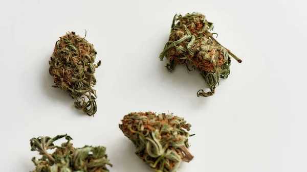 Beyaz arka planda tıbbi marihuana tomurcuklarının üst görüntüsü. Bitkisel, alternatif tıp kavramı — Stok fotoğraf