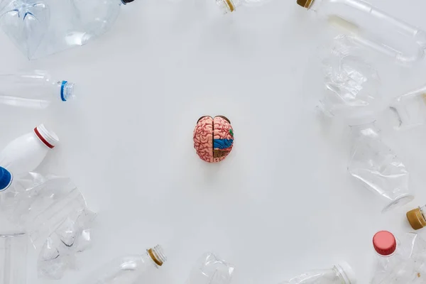 Earth conscious living. Flatlay composition with different empty plastic bottles and plastic model of a human brain in the center over white background