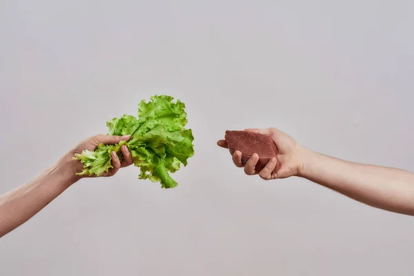 Decide qué elegir. Primer plano de las manos sosteniendo lechuga verde fresca en una mano y trozo de carne en otra aislada sobre fondo gris — Foto de Stock