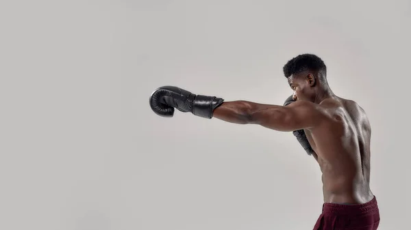 Retrato de pugilista americano africano jovem muscular olhando para o lado, vestindo luvas de boxe, soco, de pé isolado sobre fundo cinza. Esportes, treino, conceito de musculação — Fotografia de Stock