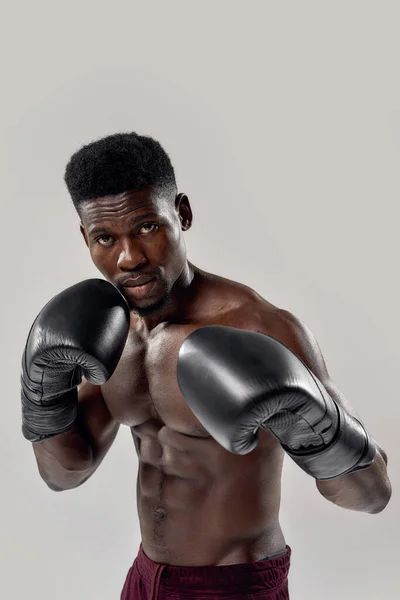 Porträtt av ung muskulös afrikansk amerikansk man boxare tittar på kameran, bär boxningshandskar, stående isolerad över grå bakgrund. Sport, träning, bodybuilding koncept — Stockfoto