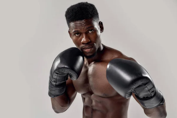 Retrato de un joven boxeador afroamericano musculoso mirando a la cámara, usando guantes de boxeo, parado aislado sobre fondo gris. Deportes, entrenamiento, concepto de culturismo — Foto de Stock