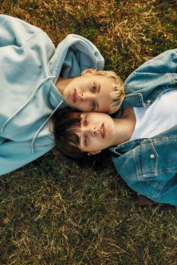 Mutlu lezbiyen çiftin yaz parkında çimlerin üzerinde yatarken kameraya baktığı en iyi manzara. Aşık kadınlar birlikte dışarıda vakit geçirirler.
