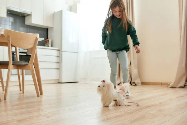 En liten flicka som jagar sin leksakshund i ett ljust rymligt kök — Stockfoto