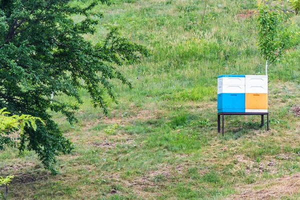 Tepe üzerinde modern arı kovanı — Stok fotoğraf