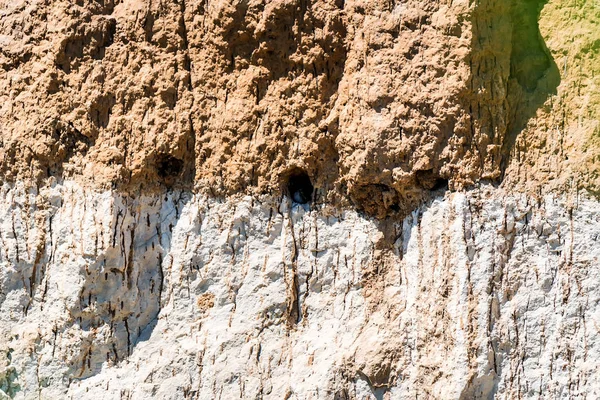 Rock with hole of European roller in it — Stock Photo, Image