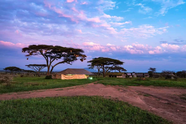 Tendas de expedição em savana pela manhã — Fotografia de Stock