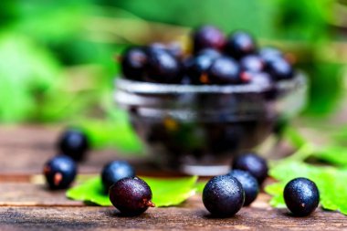 Cam kasede olgun blackcurrant kapatın