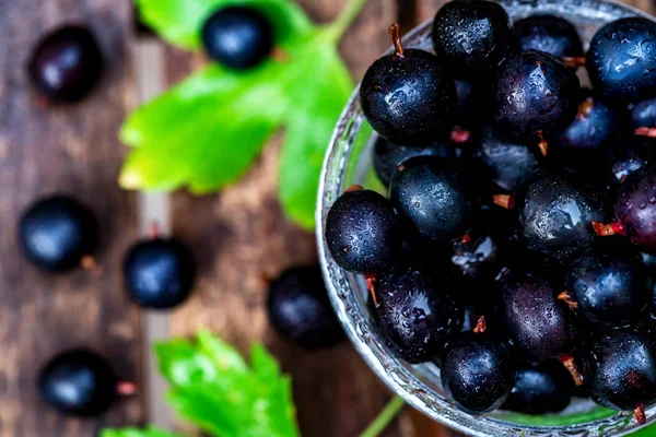 Cam kasede olgun blackcurrant kapatın
