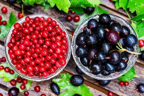 Olgun somun ve blackcurrant cam kase