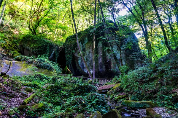Doğal Yeşil Orman Arka Plan Yosun Kaplı Kayalar Küçük Dere — Stok fotoğraf