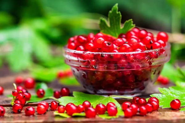 Cam kasede olgun somun kapatın