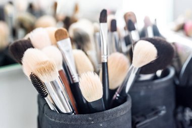 Makyaj fırçaları.