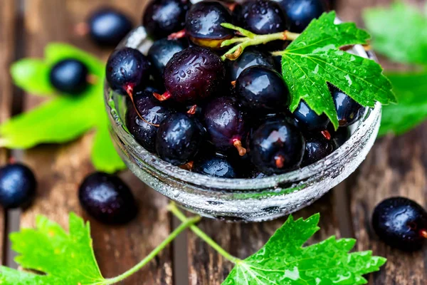 Cam kasede olgun blackcurrant kapatın — Stok fotoğraf