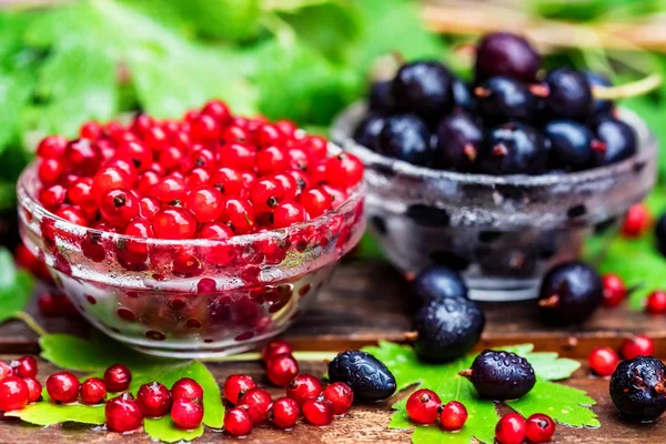 Olgun somun ve blackcurrant cam kase