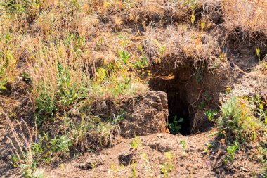 Yere yakın hendeğe