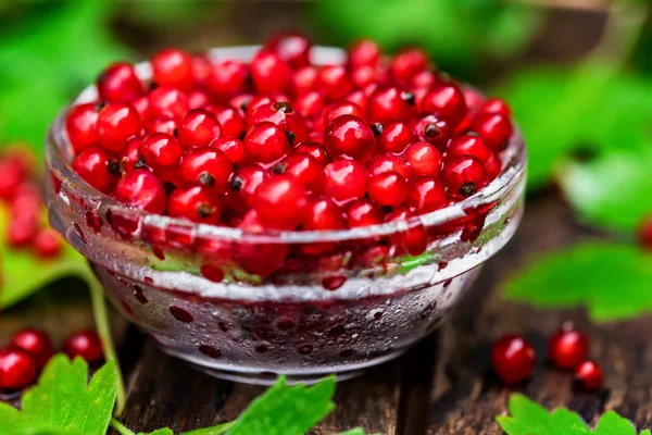 Cam kasede olgun somun kapatın