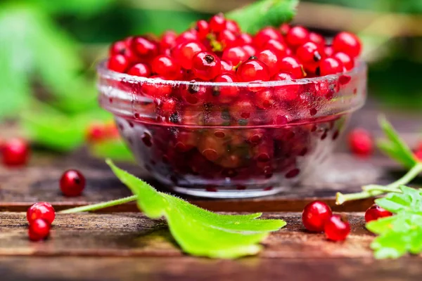 Cam kasede olgun somun kapatın