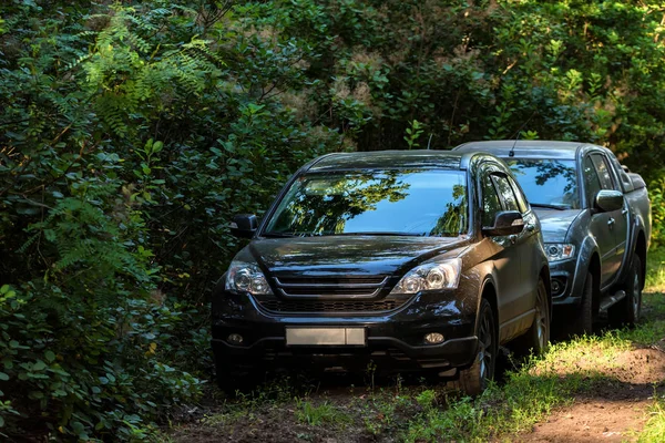 Crossover parked in the country — Stock Photo, Image