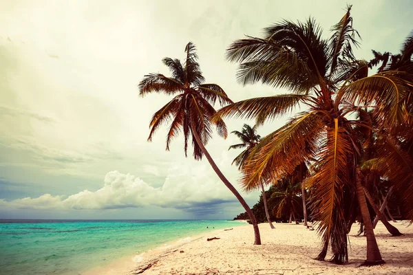 Oceano e costa tropical na República Dominicana — Fotografia de Stock