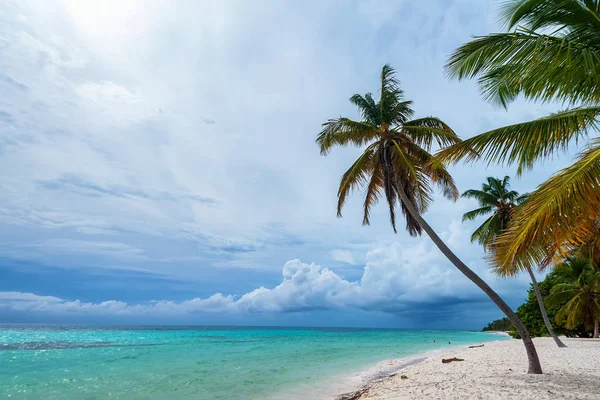Oceano e costa tropical na República Dominicana — Fotografia de Stock