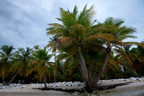 Bela costa tropical na República Dominicana — Fotografia de Stock