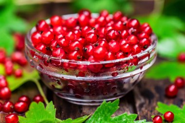 Cam kasede olgun somun kapatın