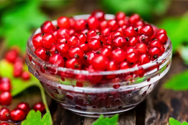 Cam kasede olgun somun kapatın