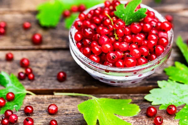 Cam kasede olgun somun kapatın