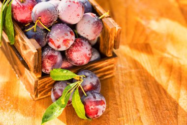 Ahşap kutusunda taze kiraz Erik kapatın