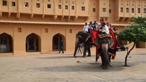 Jaipur, India - Circa November 2017: Onbekende man rijdt olifant — Stockvideo