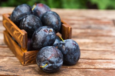 Ahşap kutusunda taze olgun erik kapatın