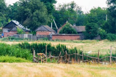 Alan ve hiuses yaz aylarında kırsal arka plan
