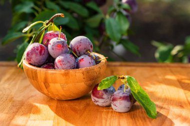 Ahşap kase taze kiraz Erik kapatın