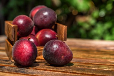 Pluot, Erik ve ahşap kutusunda yakın kayısı karışımı