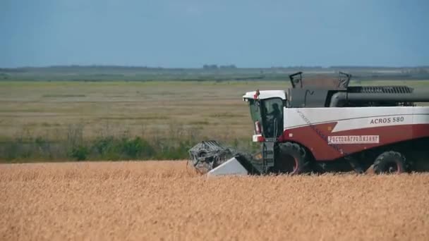 RUSIA - CIRCA JUNIO, 2017: Cosechadora de granos — Vídeos de Stock