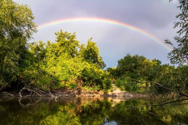 Gökkuşağının üstünde ormandaki nehir. Pastoral manzara