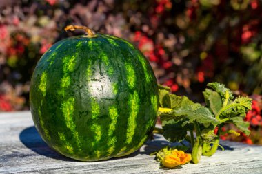 Ahşap tahta üzerinde çiçekler taze karpuz
