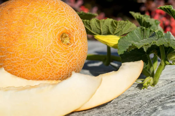 Melon entier et tranché sur table en bois à l'extérieur — Photo