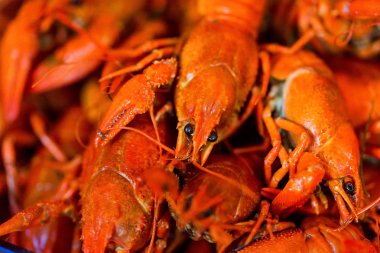 Arka kadar lezzetli kırmızı haşlanmış kerevit kapatmak